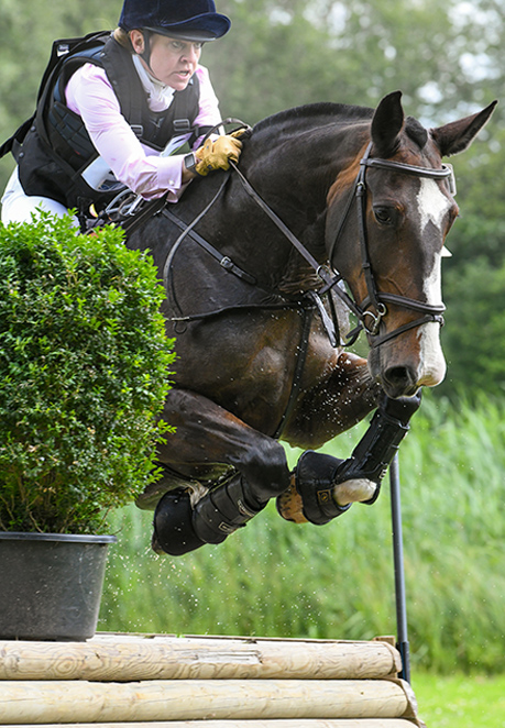 Frontpica Eventing zuidholland 2019